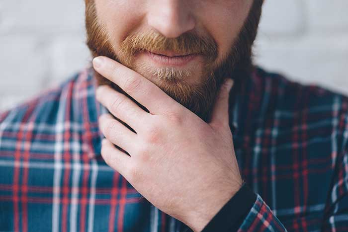 Beard Transplant - The Plaid Zebra